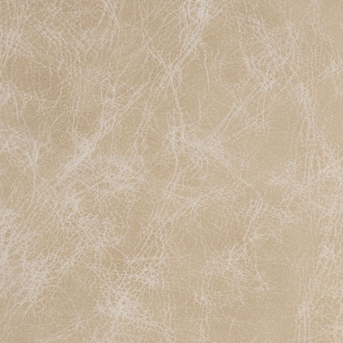 Cheyenne Trail Dust